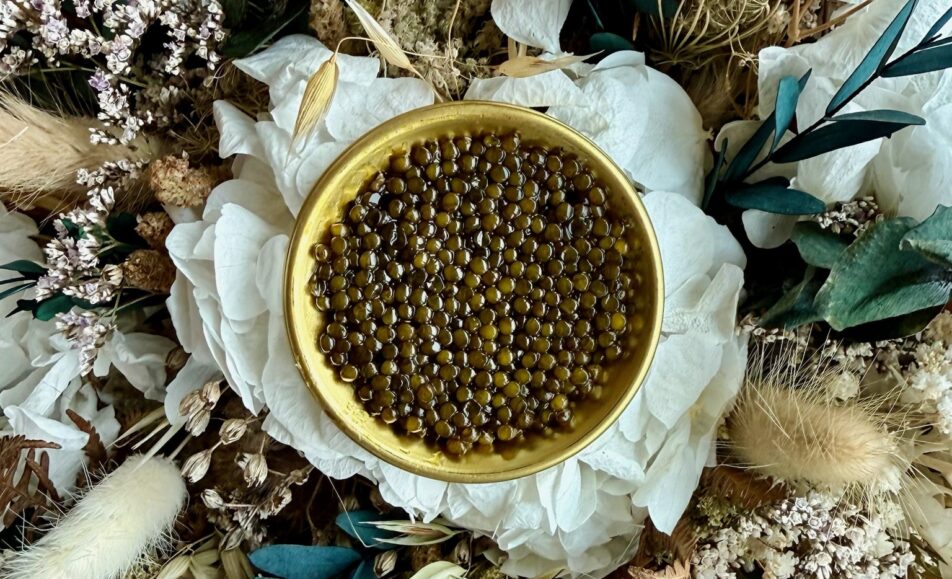 Initiez-vous au caviar avec Caviar des Sacres : dégustation offerte, découverte des grains, des textures et des saveurs, aux Jardins d’Arcadie.