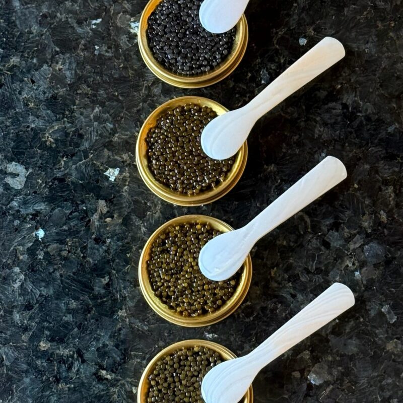 caviar 3